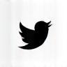 X (Twitter) icon